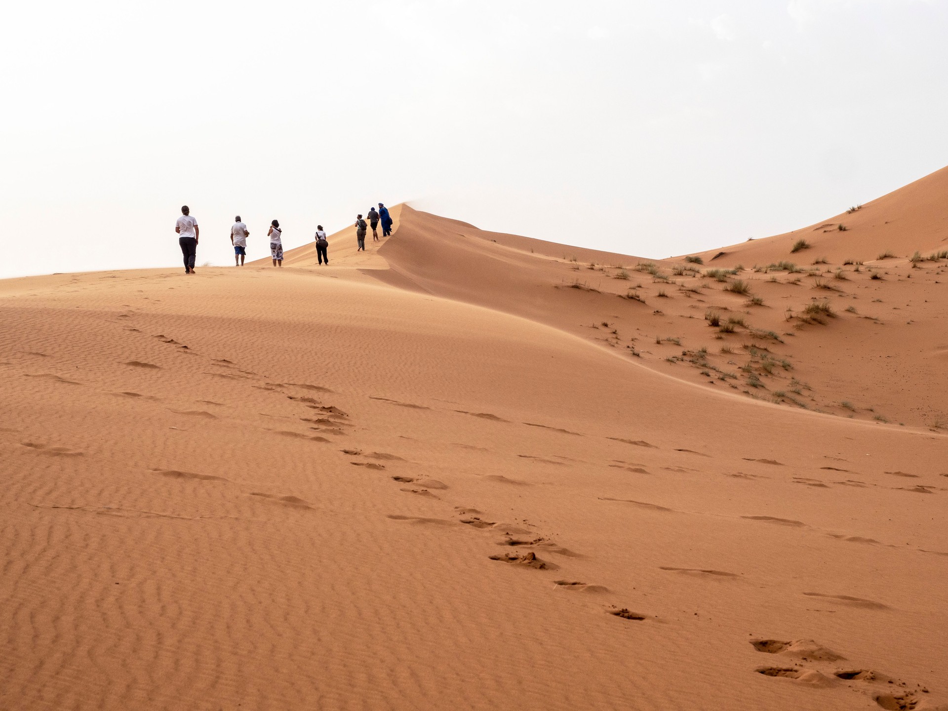 Desert Dunes Tour