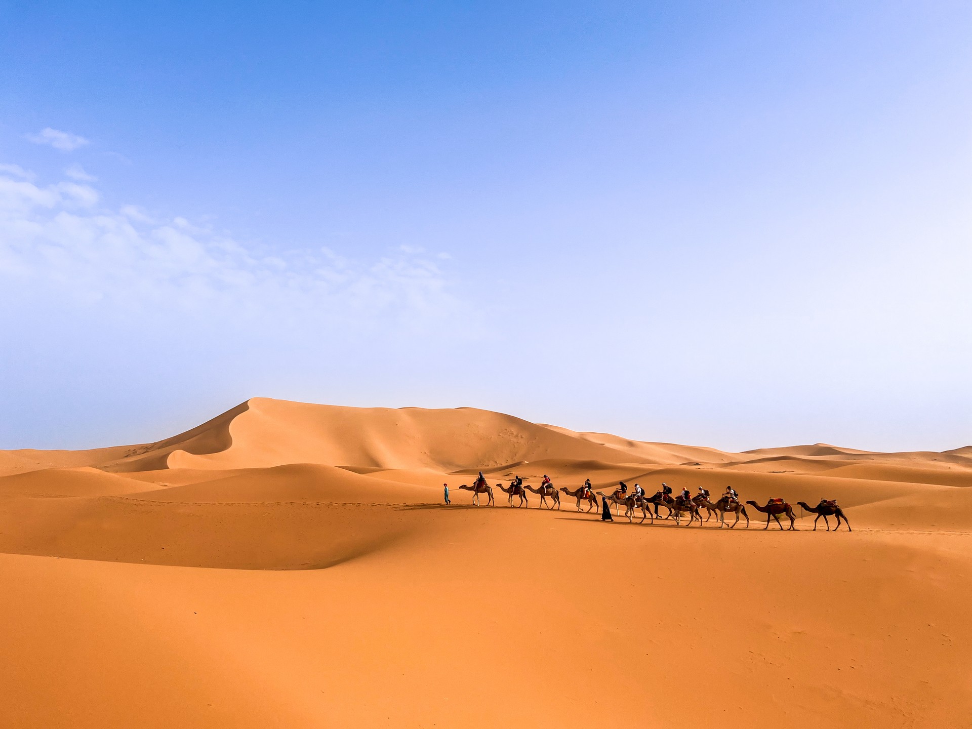 Camel Excursion Crossing the Merzouga Desert, Morocco