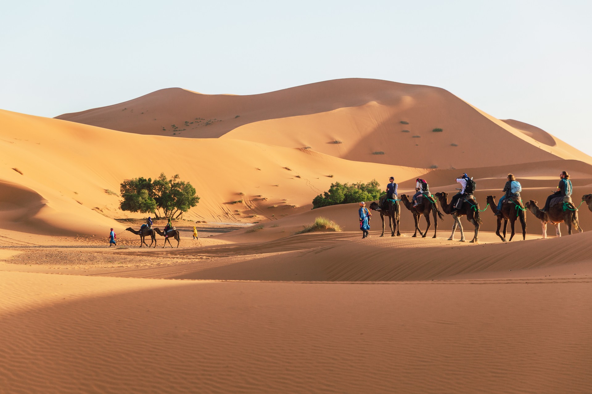 A caravan of camels with tourists moves through the dunes of the Sahara desert