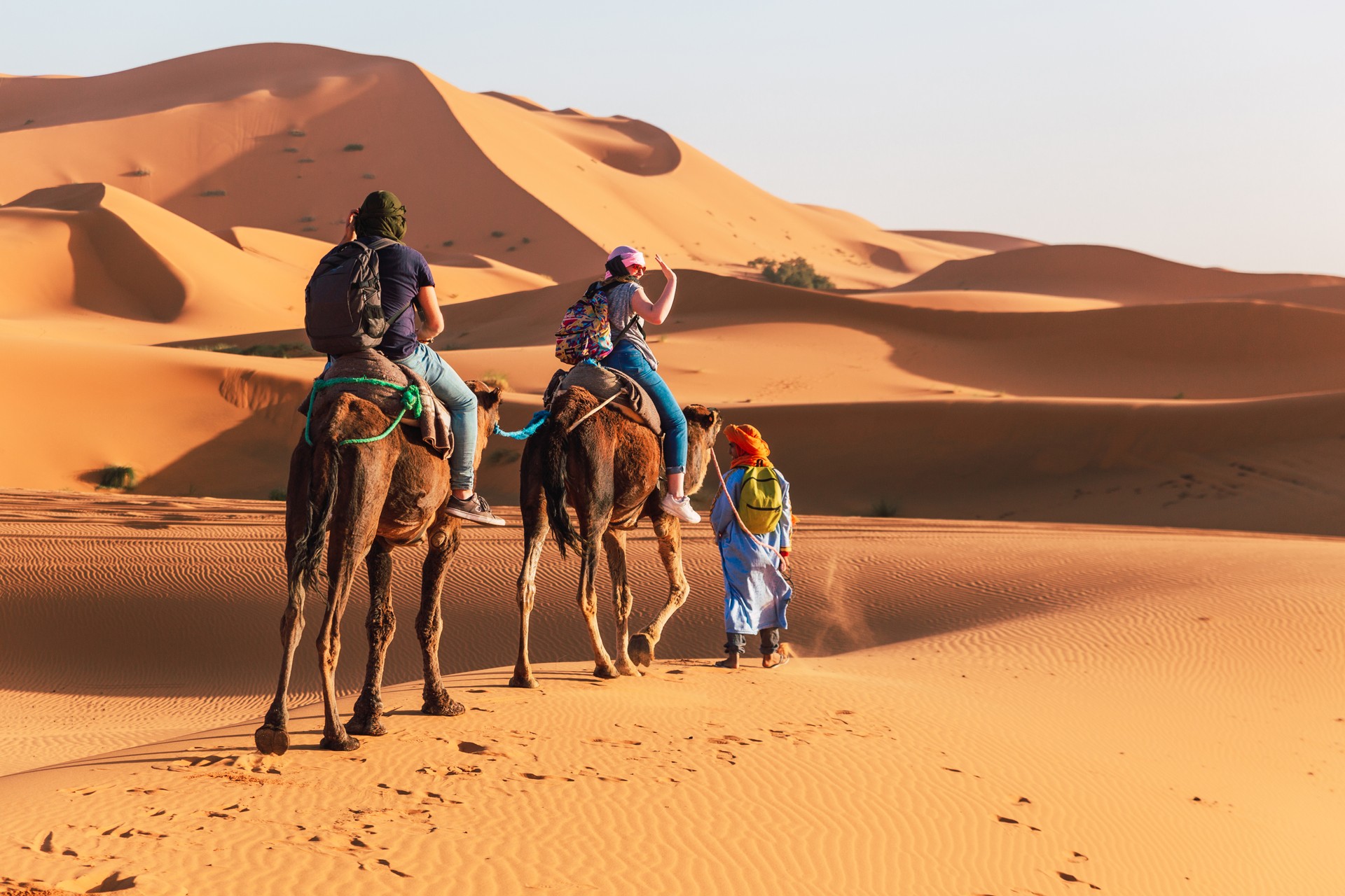 Tourists on camels visit the dunes of the Sahara desert