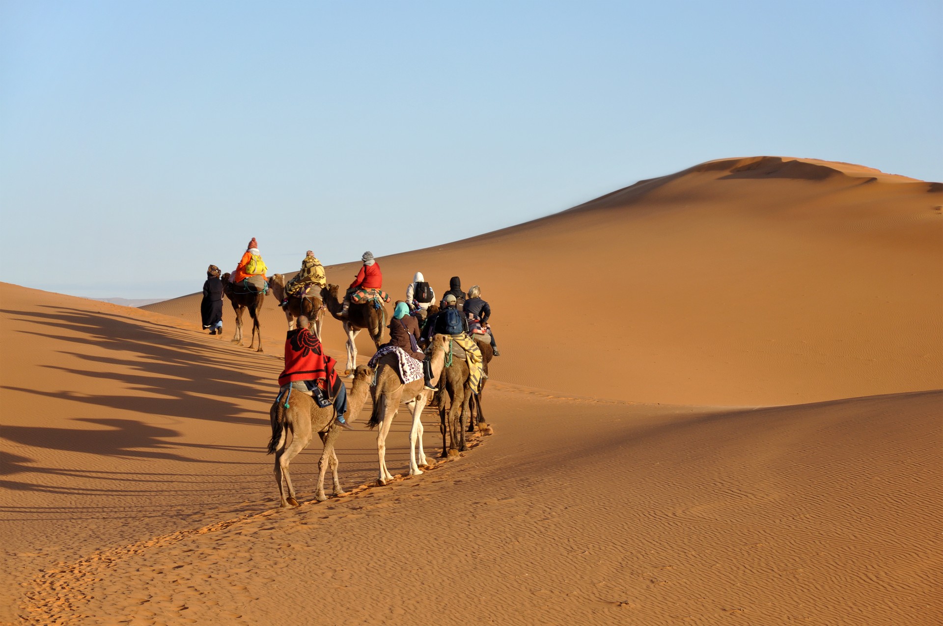 Camel trip in Sahara desert