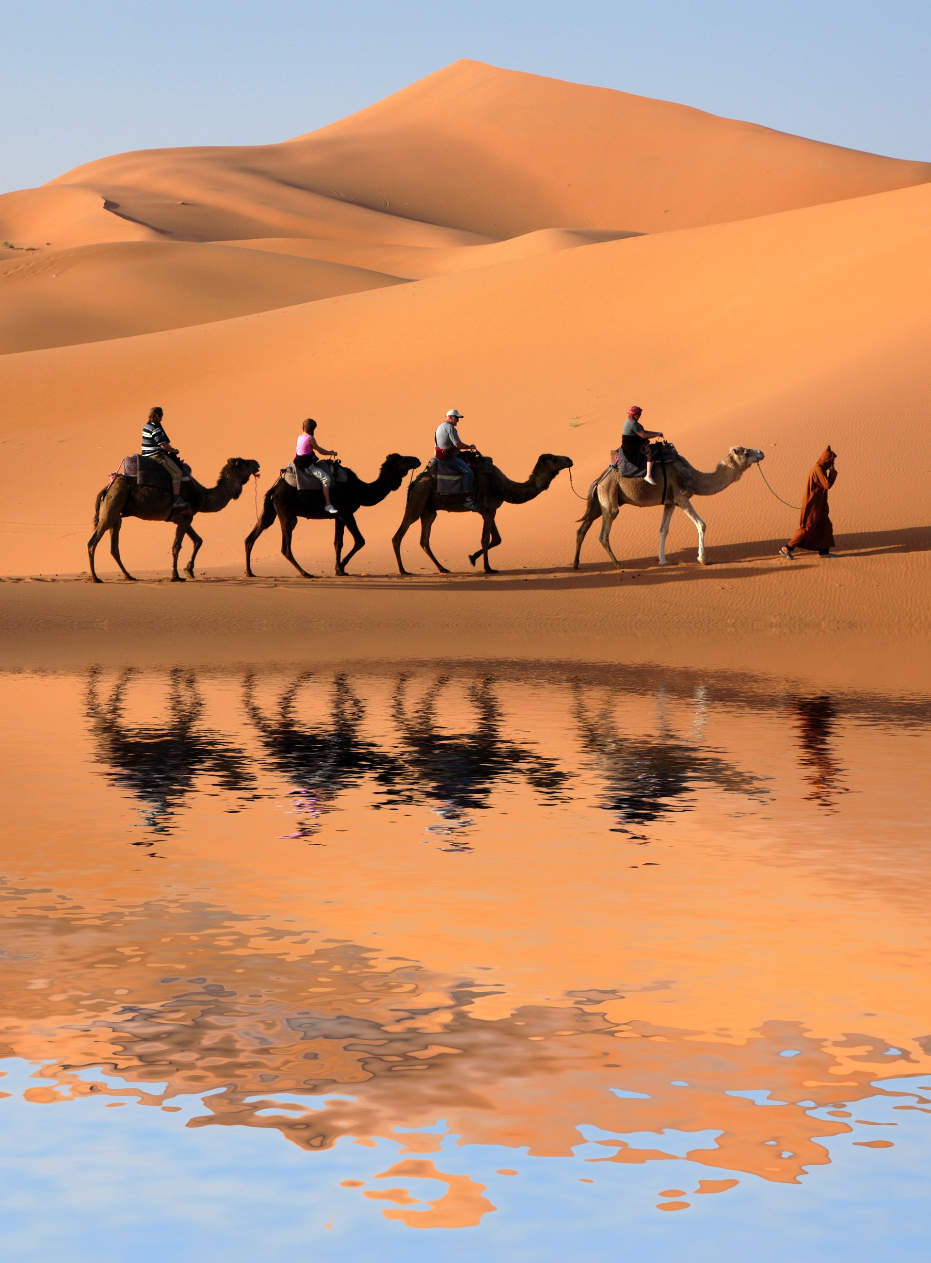 Camel caravan reflected in a Sahara Desert oasis 