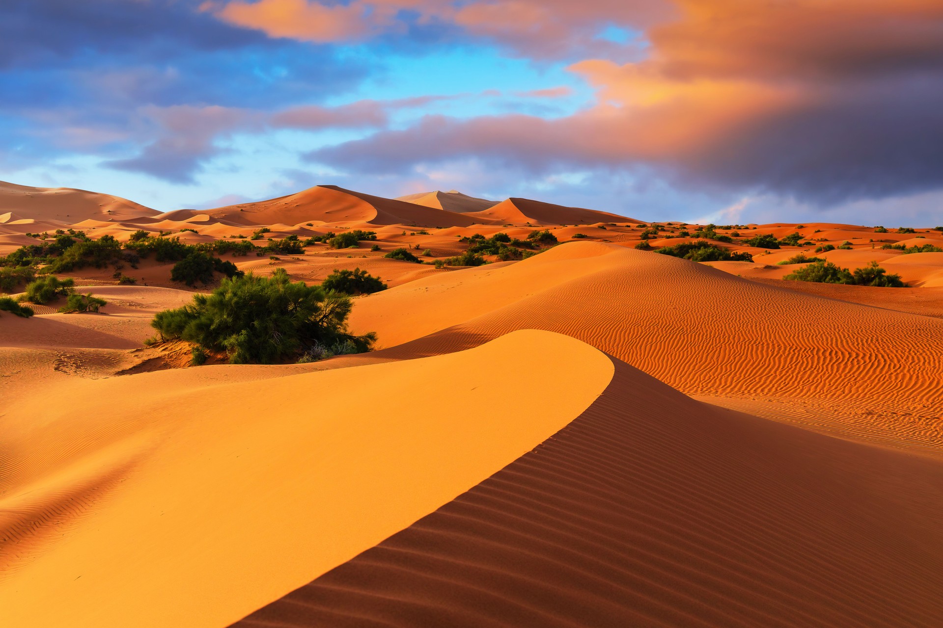 The Sahara Desert, Morocco.