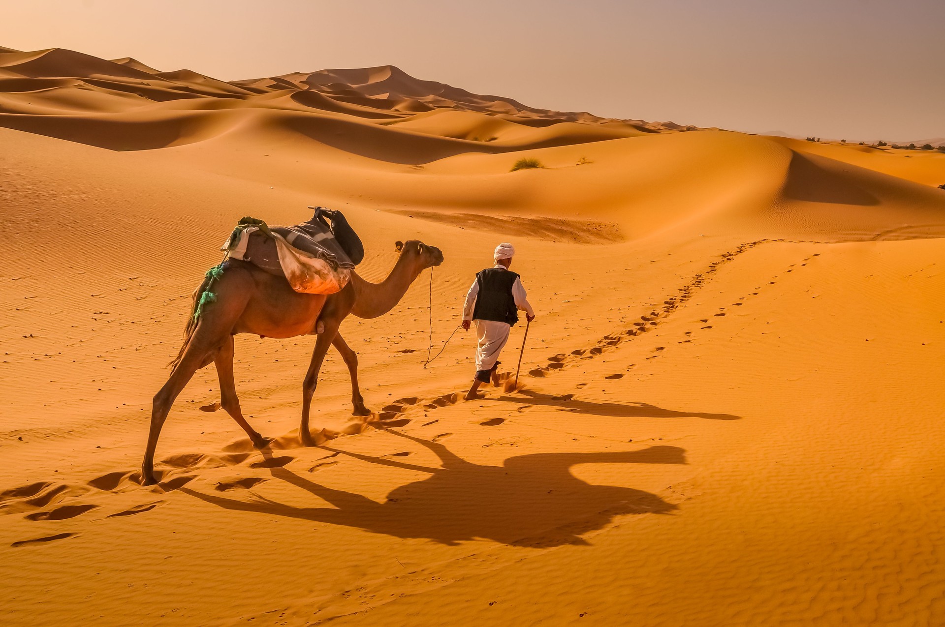 Crossing the Sahara desert by camel