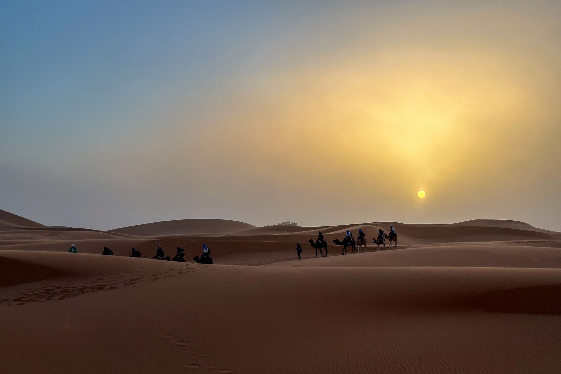 Tourists in the Sahara Desert on a camel caravan