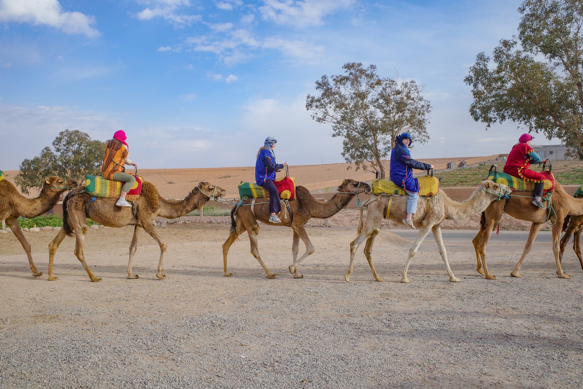 Marrakech, Morocco - Feb 22, 2023: Tourists ride Dromedary camels through the Agafay desert